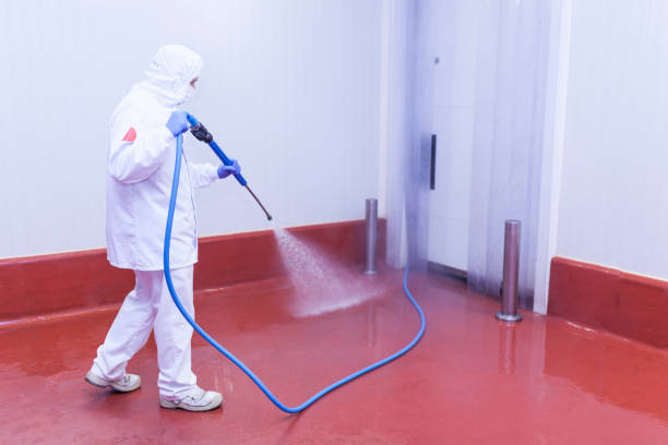 Best Concrete Sealing  in Valley Falls, SC