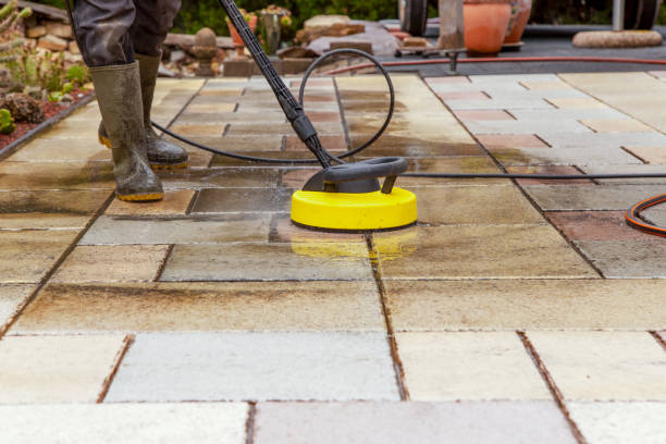 Animal Enclosure Cleaning in Valley Falls, SC