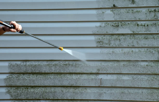 Best Driveway Pressure Washing  in Valley Falls, SC